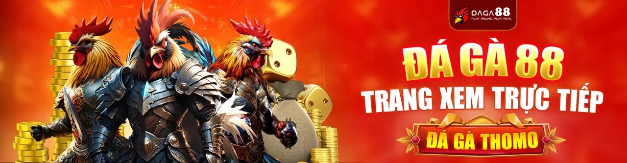 Đá gà trực tuyến xin888 casino