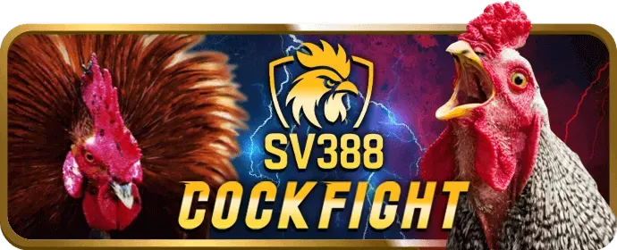 Cách Chơi Slots Tại xin888 casino